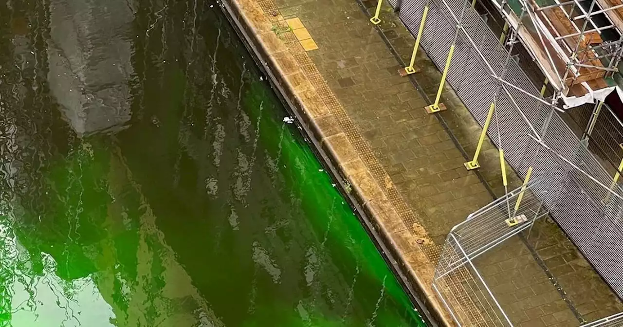 Pictures show city centre canal turning luminous green as residents baffled