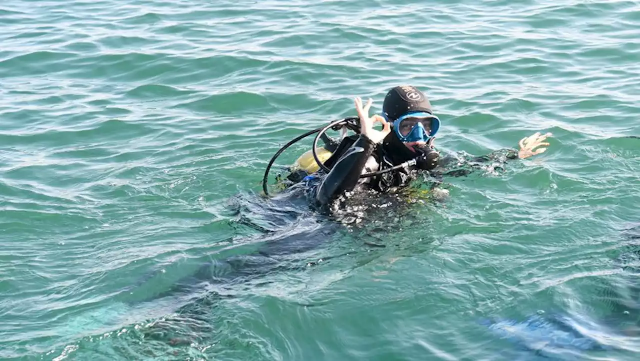 '20 degrés en profondeur' : plongez à la fraîche, à la découverte des fonds marins au large de Palavas