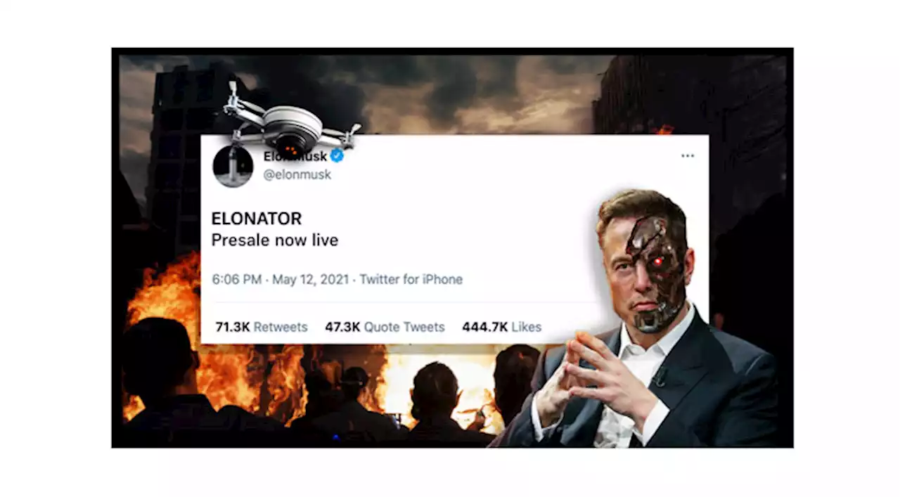 Top Meme Coins, Elon Musk, Dogecoin vs Shiba Inu vs Elonator