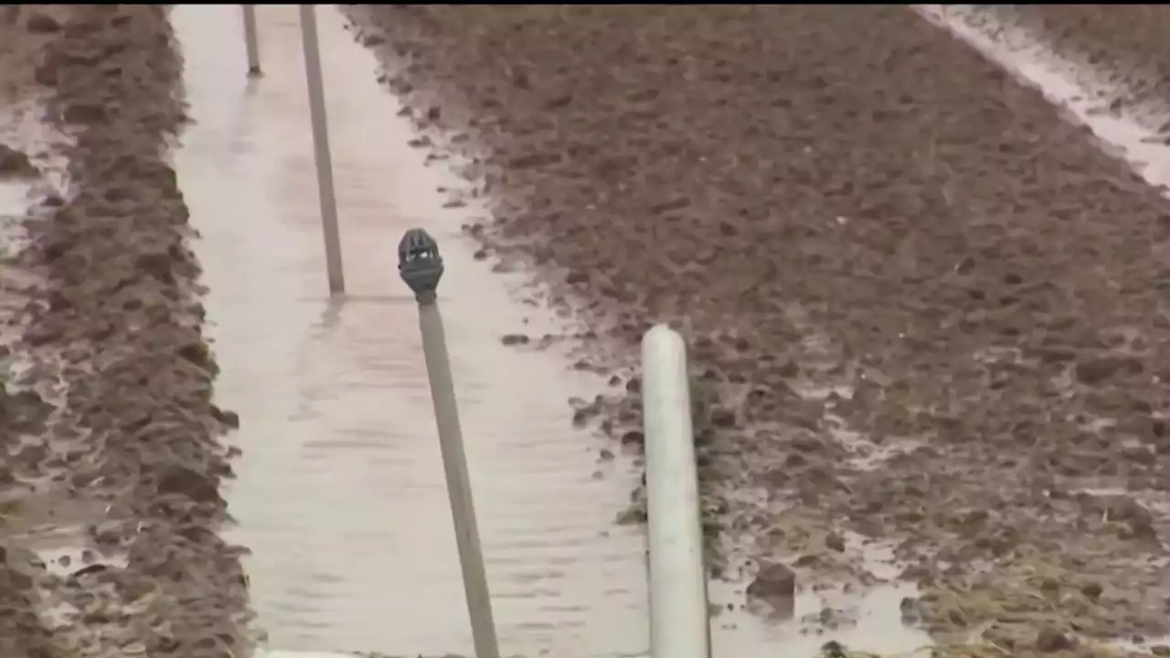 Historic rainfall from Tropical Storm Hilary brings mix of good and bad for farmers, firefighters