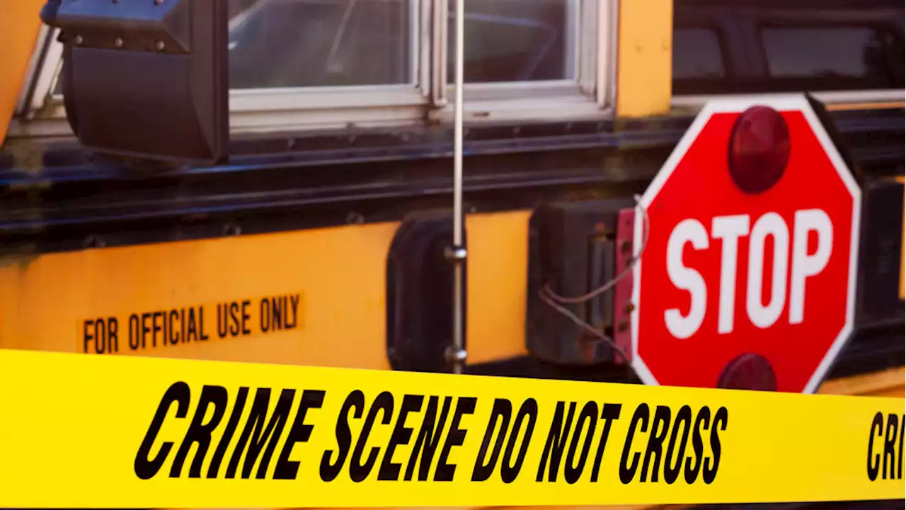 Seguin ISD elementary student accidentally discharges firearm on school bus: No injuries reported