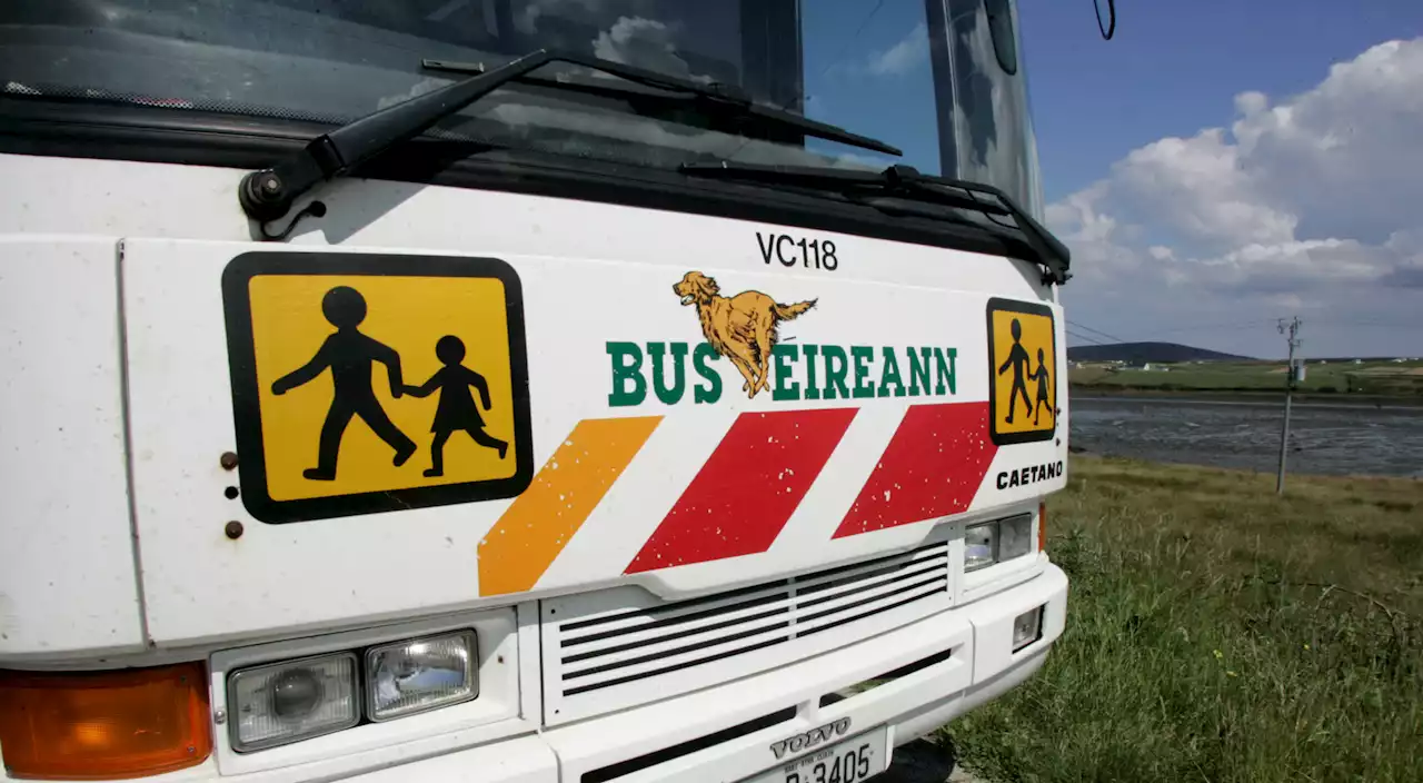 TD: School bus services in ‘chaos’ with children set to miss out again