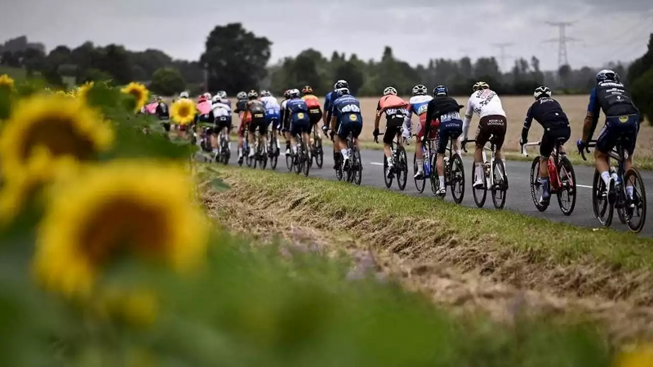 VIDÉO. Norvège : quand des cervidés traversent la route et manquent de faire chuter les coureurs