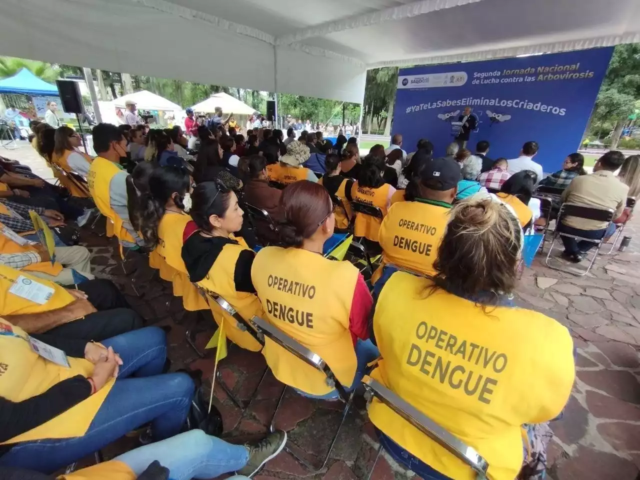 Alarman casos de dengue en México; más de 40% de los pacientes presenta síntomas graves