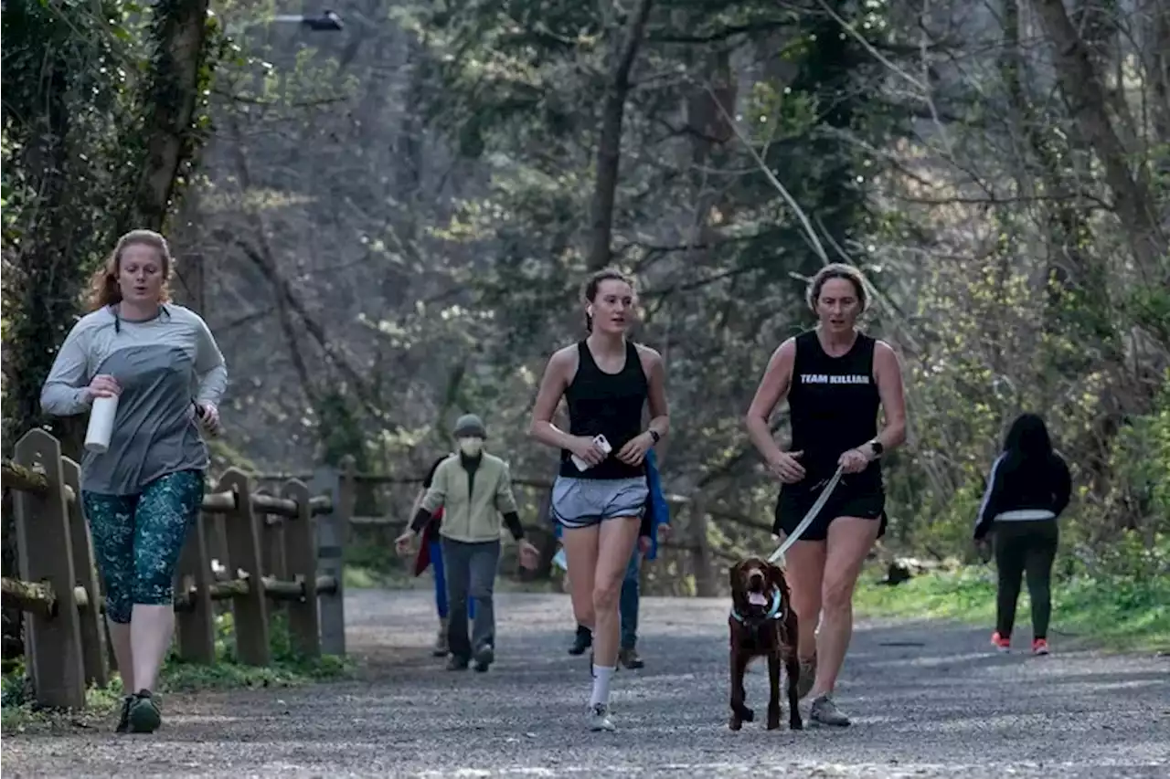 For safety’s sake, it’s time to curtail traffic in Philadelphia’s parks