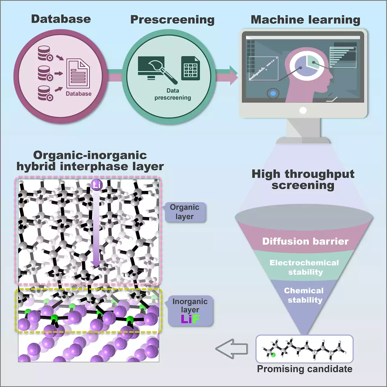 Novel strategy to accelerate design of high-performance lithium metal batteries