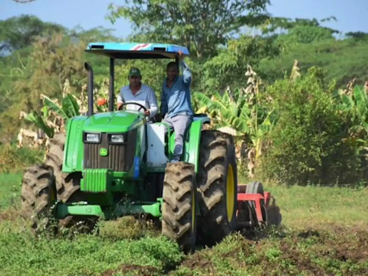 Las empresas del agro que en tres décadas han mostrado resultados