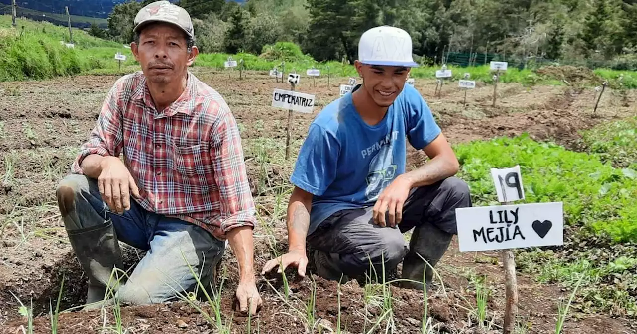 Oportunidad en Colombia: invertirán cuatro millones de dólares para financiar empresas de comunidades rurales