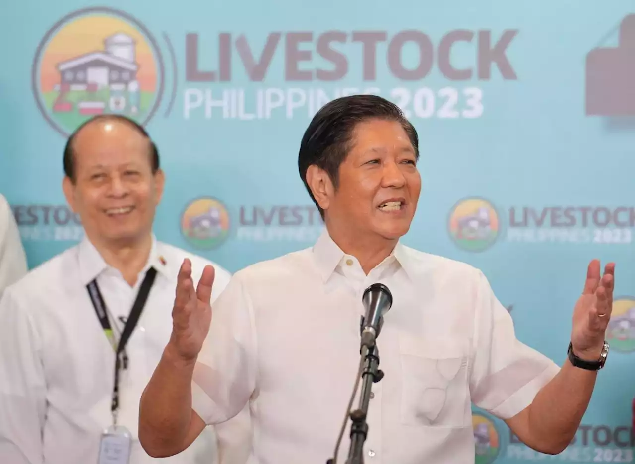 Marcos hasn't joined group meetings with DA officials in last 6 months, says Panganiban