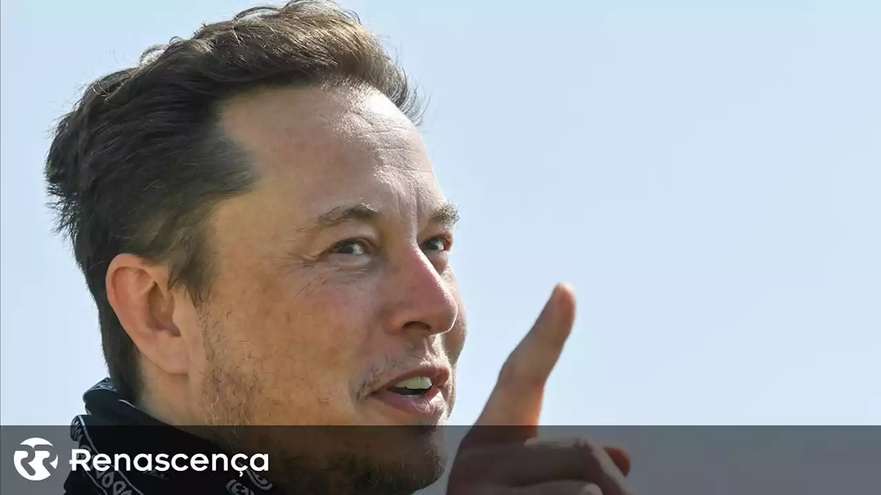 Musk retira títulos e resumos das notícias na rede social X