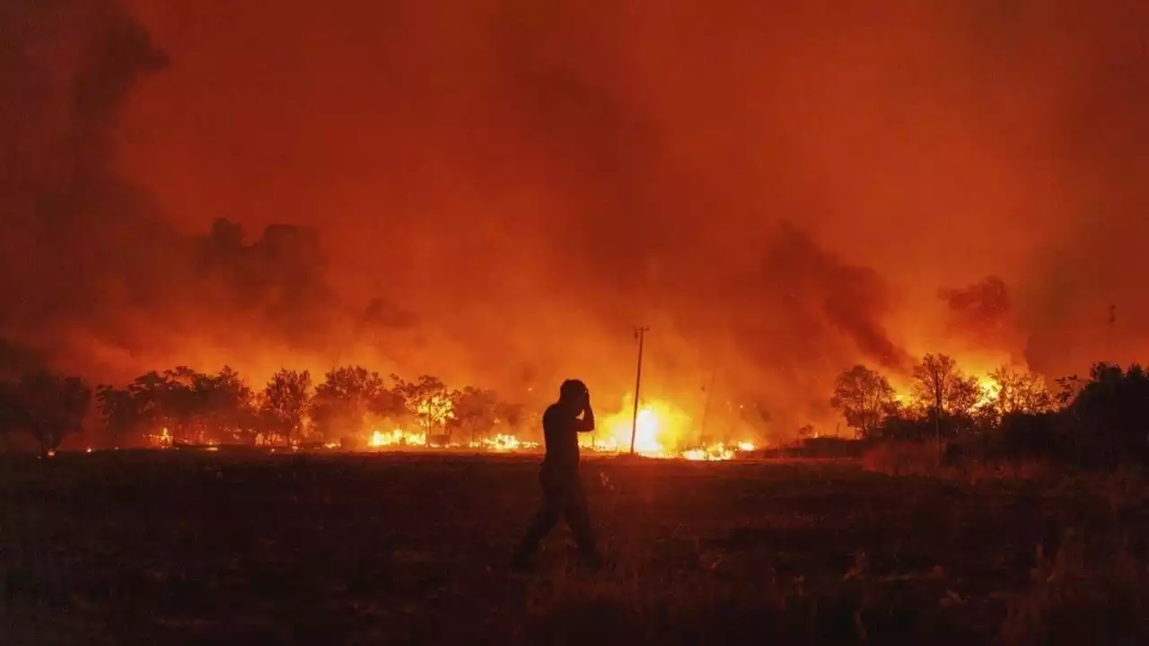 La Grèce face à une nouvelle vague d'incendies meurtriers