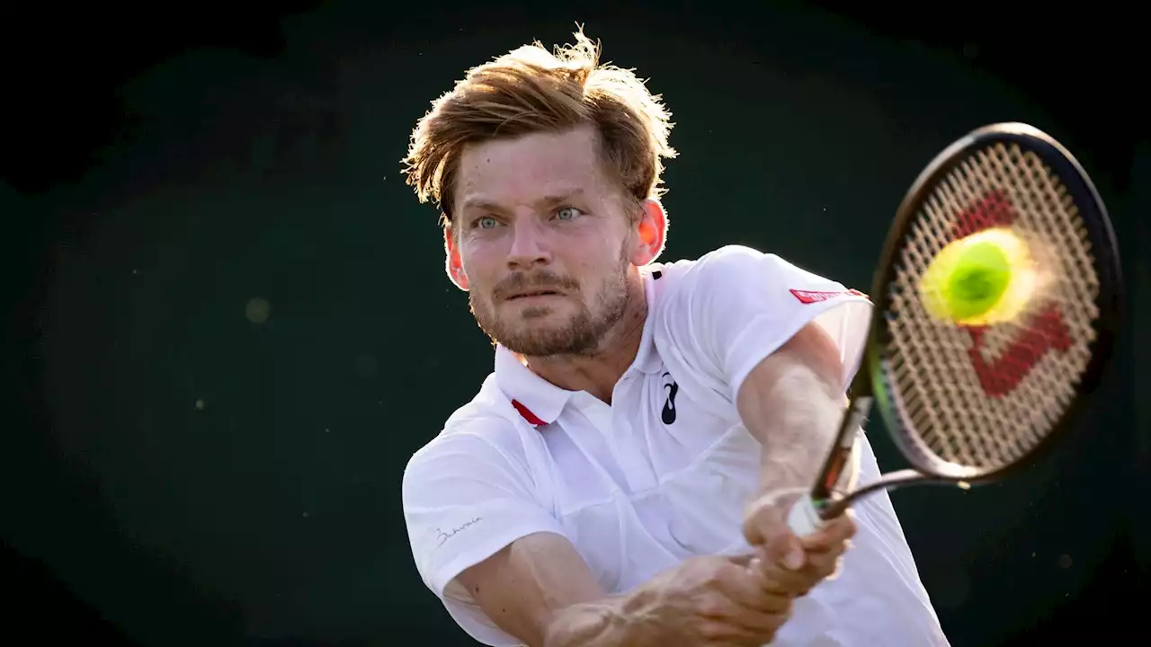 US Open : David Goffin contre l'Autrichien Novak au 1er tour des qualifications