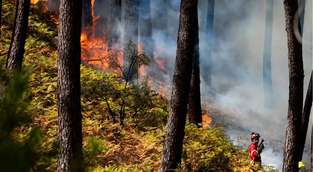 Mais de 100 concelhos de 15 distritos em perigo máximo de incêndio