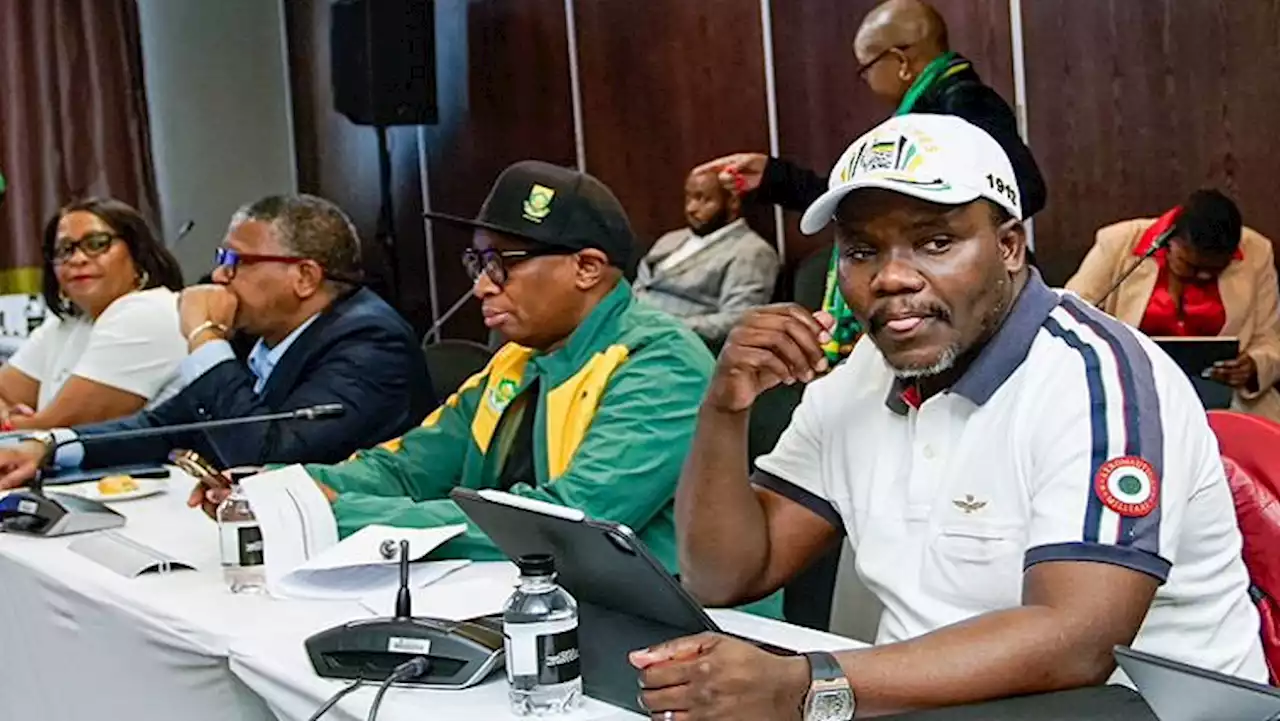 KZN ANC welcomes appointment of senior party members ahead of 2024 election