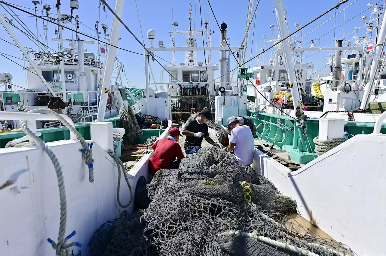 Hong Kong to activate control measures on seafood from Japan