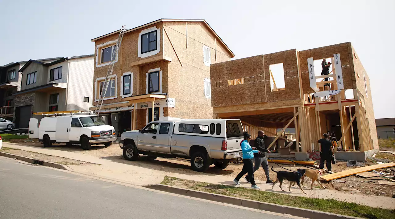 HRM improving housing, development application timelines, report finds