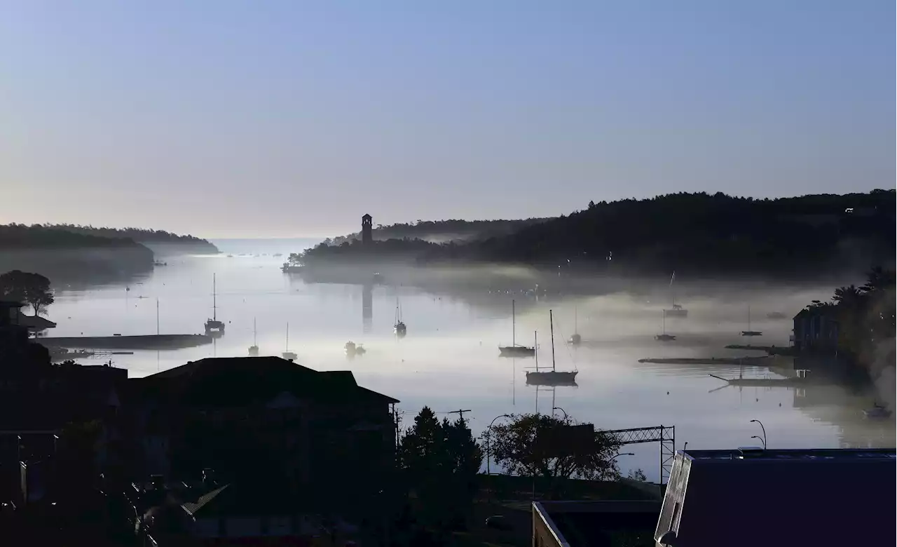 Safety advisory lifted after sewage spill in Halifax's Northwest Arm