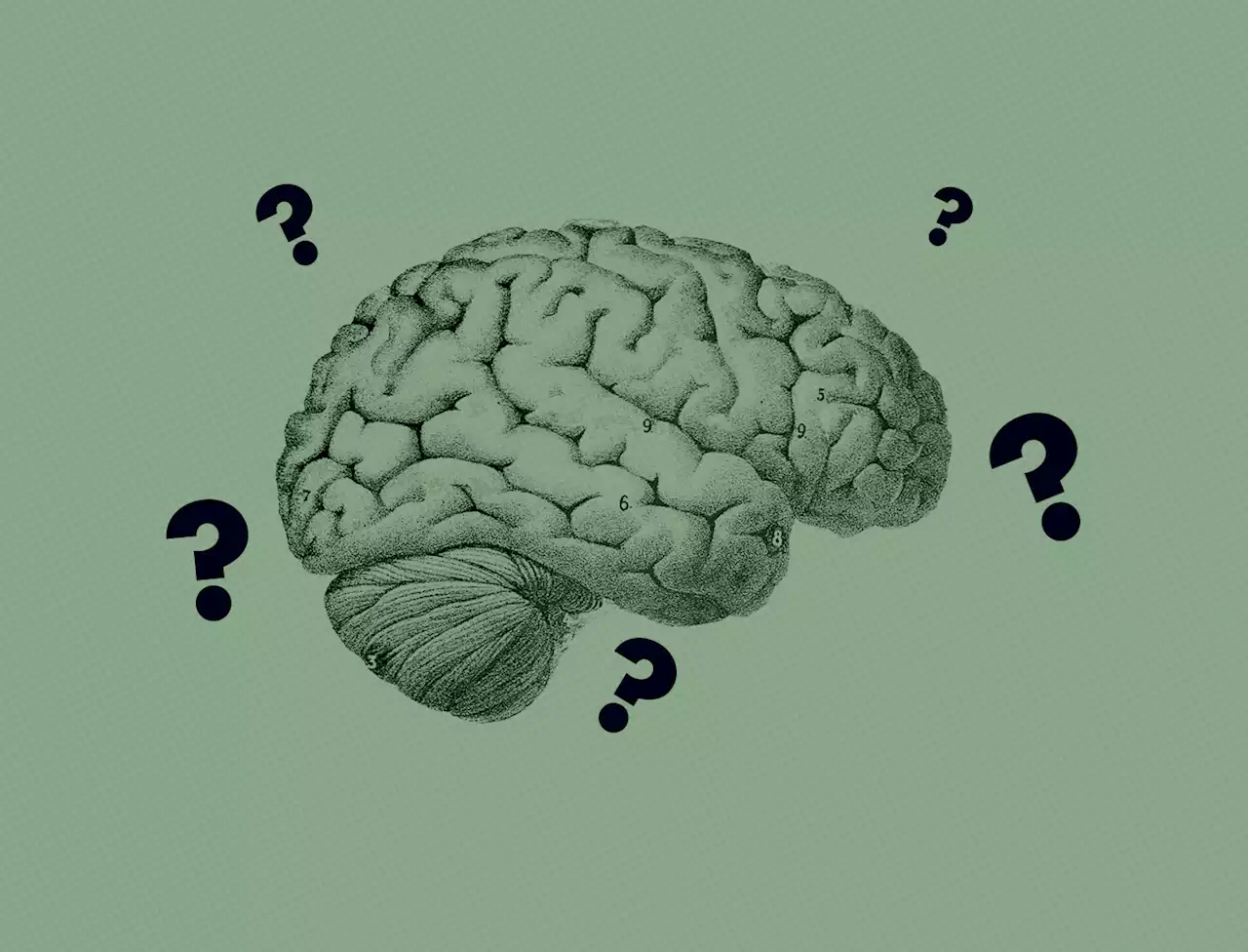 The scary (and weird) world of artificial intelligence