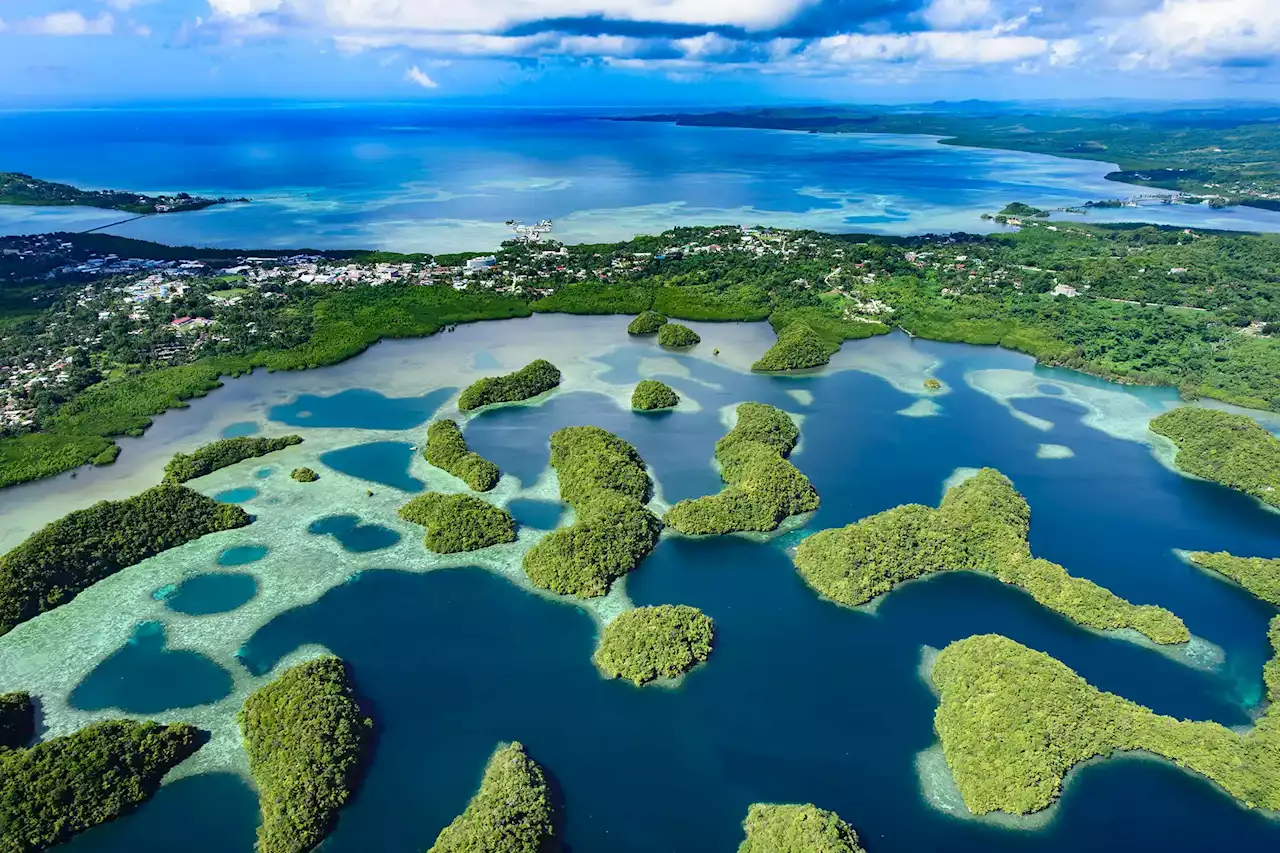 Beating the Heat: Pacific Coral Reef Shows Unprecedented Increase in Climate Resistance