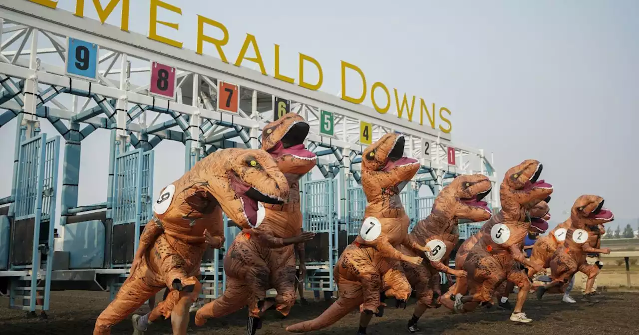 Carrera de T-Rex termina en final de fotografía en hipódromo de Washington