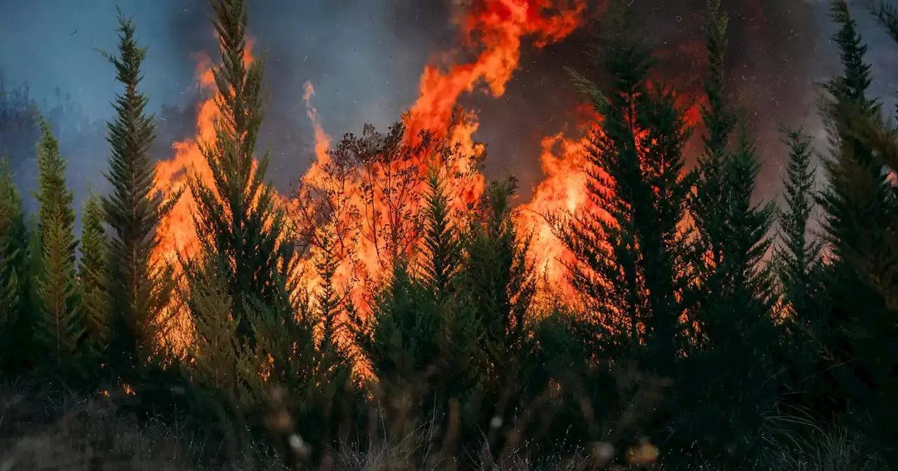 Mais de 100 concelhos em perigo máximo de incêndio