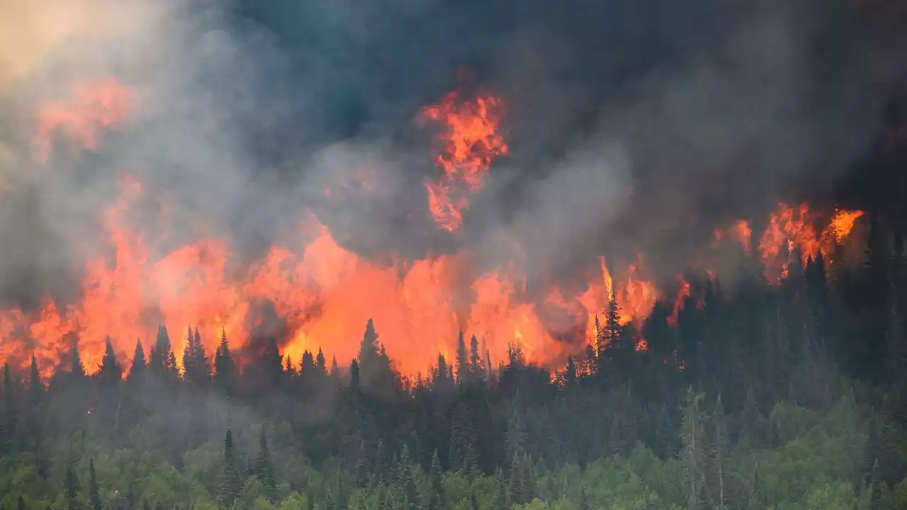 Climate change made weather that fuelled Canada's wildfire season seven times more likely, say scientists