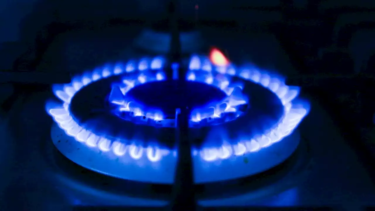 Battle over gas ban in City of Sydney looms