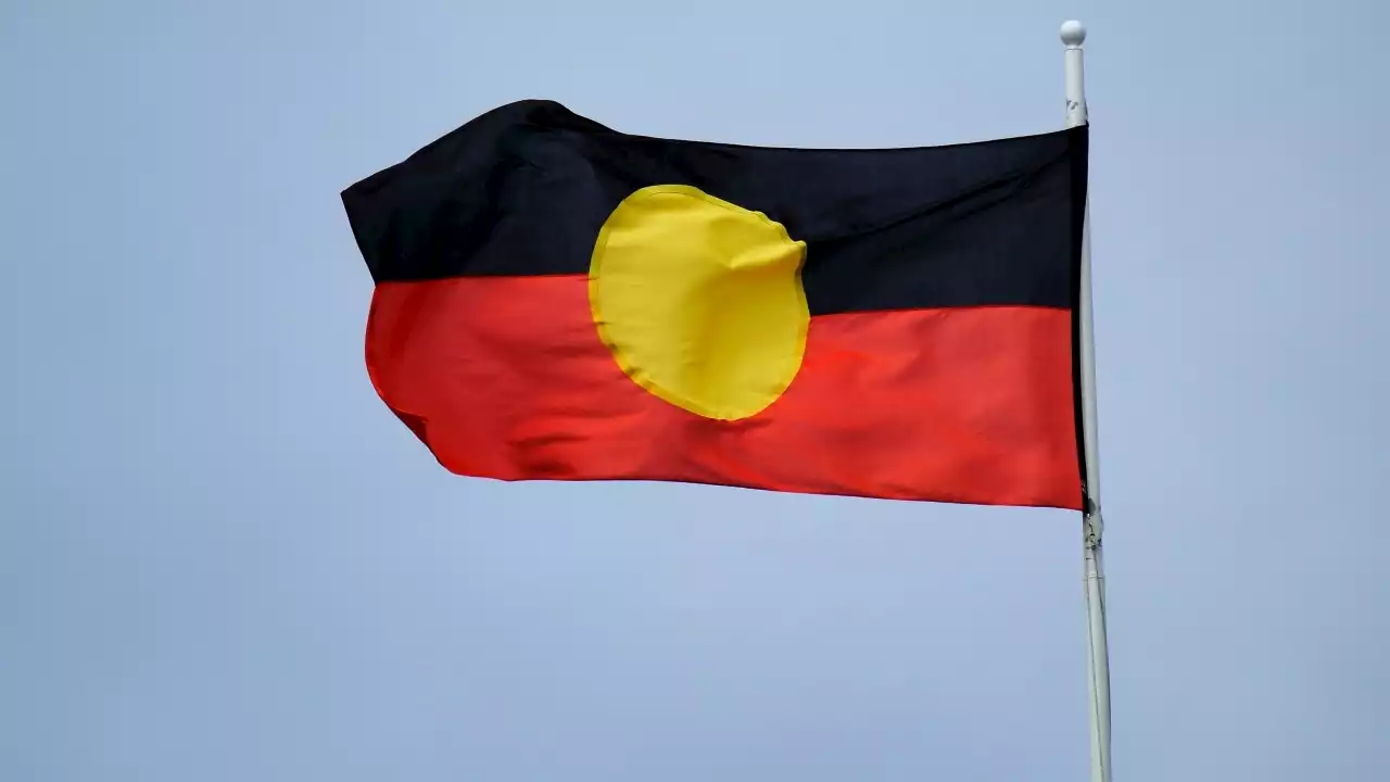 'Canberra-based body' won’t represent Aboriginal Territorians: NT Opp leader