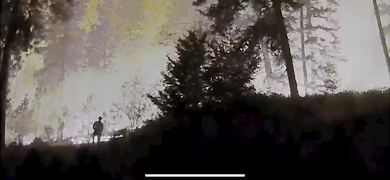 B.C. woman looking for lone firefighter she says saved her home with garden hose
