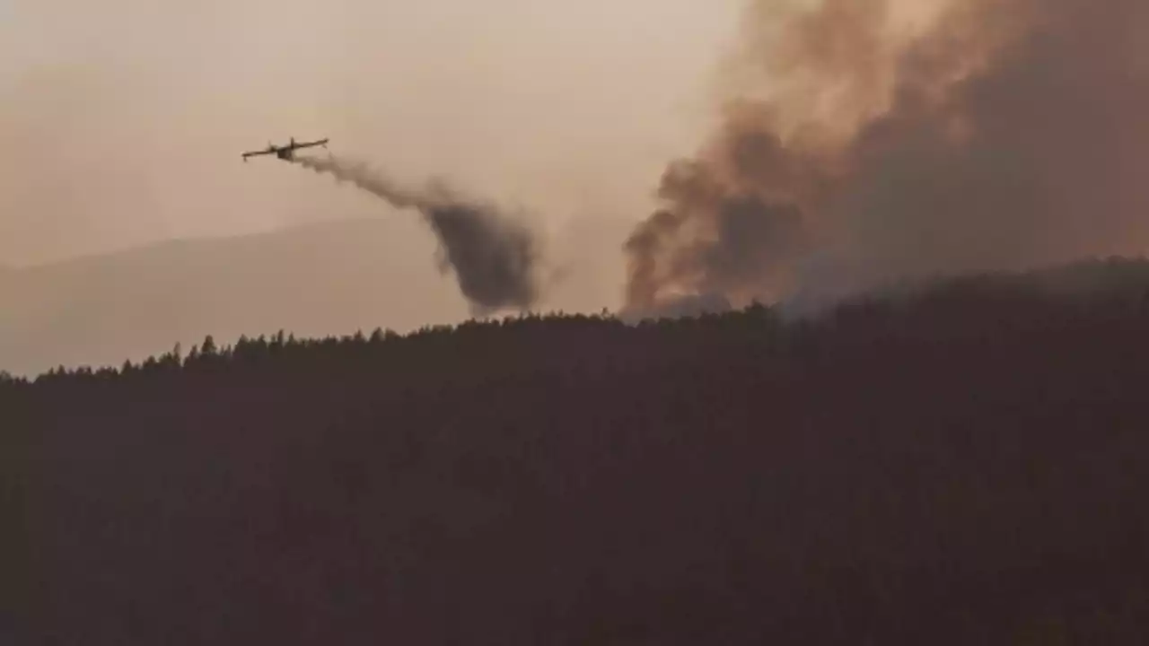 Feuerwehr bekommt riesigen Waldbrand auf Teneriffa in den Griff