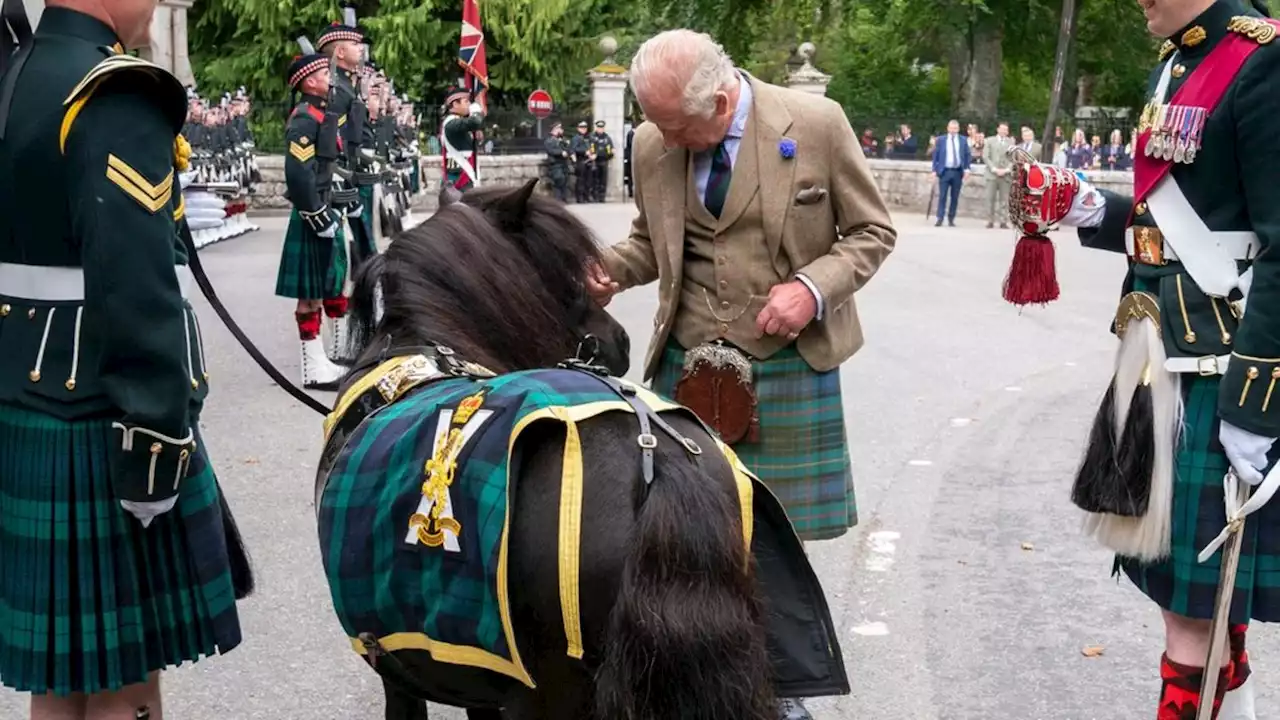 Pony stiehlt ihm auf Balmoral die Show