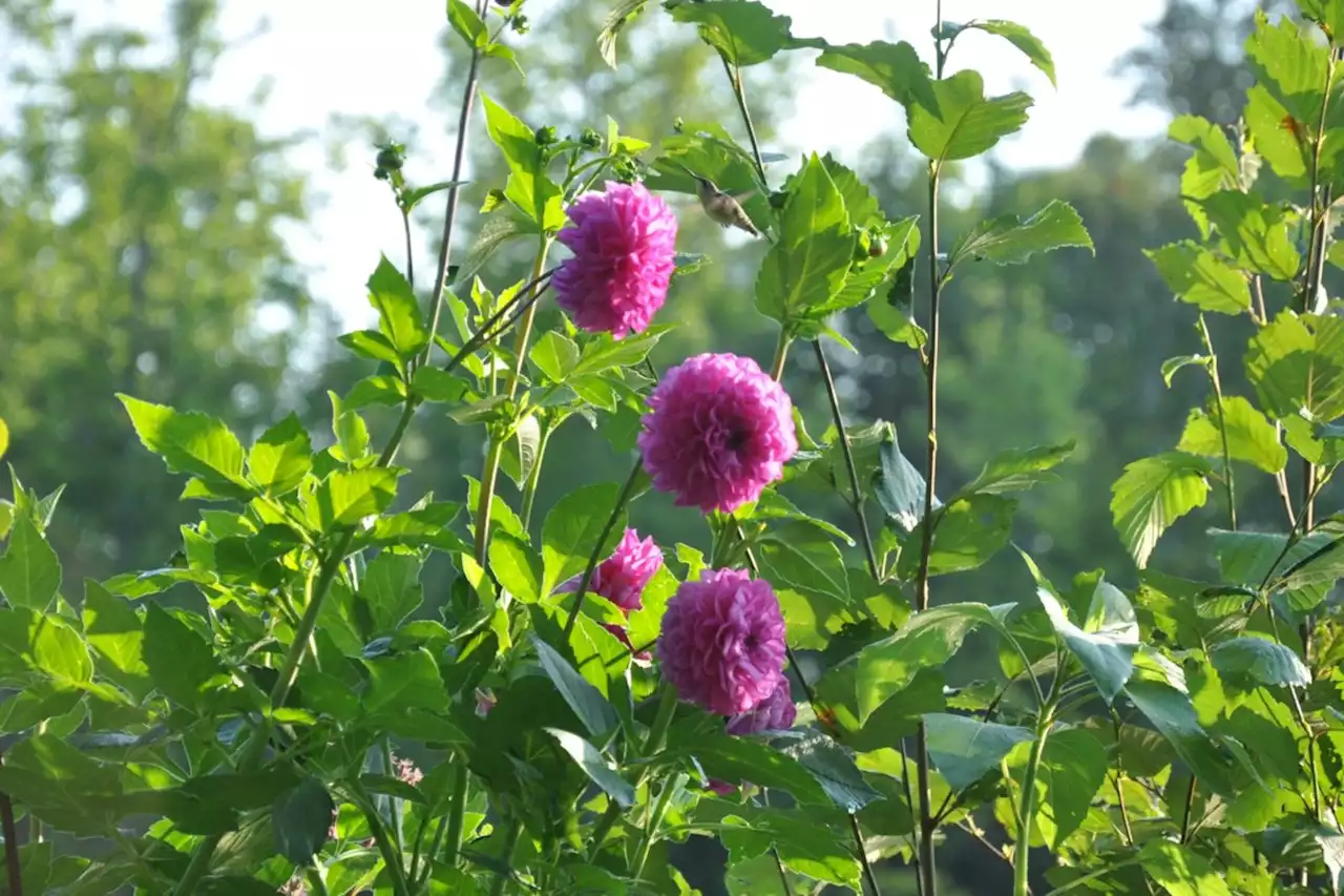 Cloudy day with a high of 23 C