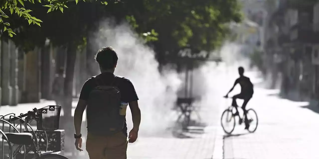 Carte. Canicule : quelles températures sont attendues mercredi et jeudi ?