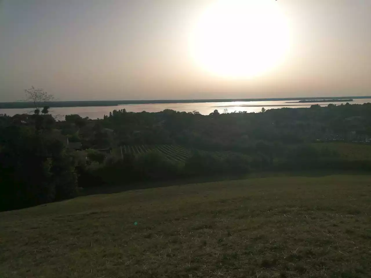 Haute Gironde : entre les vignes et l’estuaire, Plassac se dévoile aux promeneurs