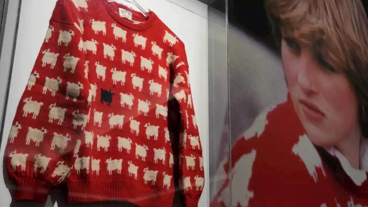 Prinzessin Diana: Pullover mit schwarzem Schaf wird versteigert