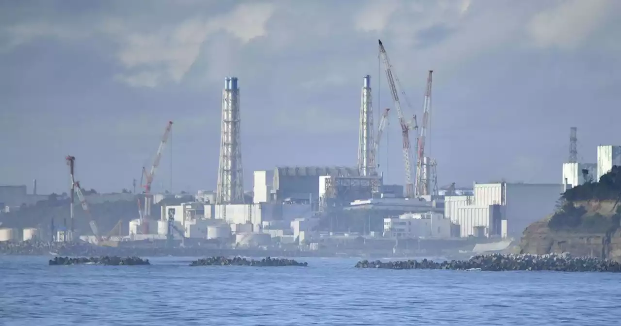 Radioaktivität: Fukushima: China fordert Stopp der Einleitung von Kühlwasser