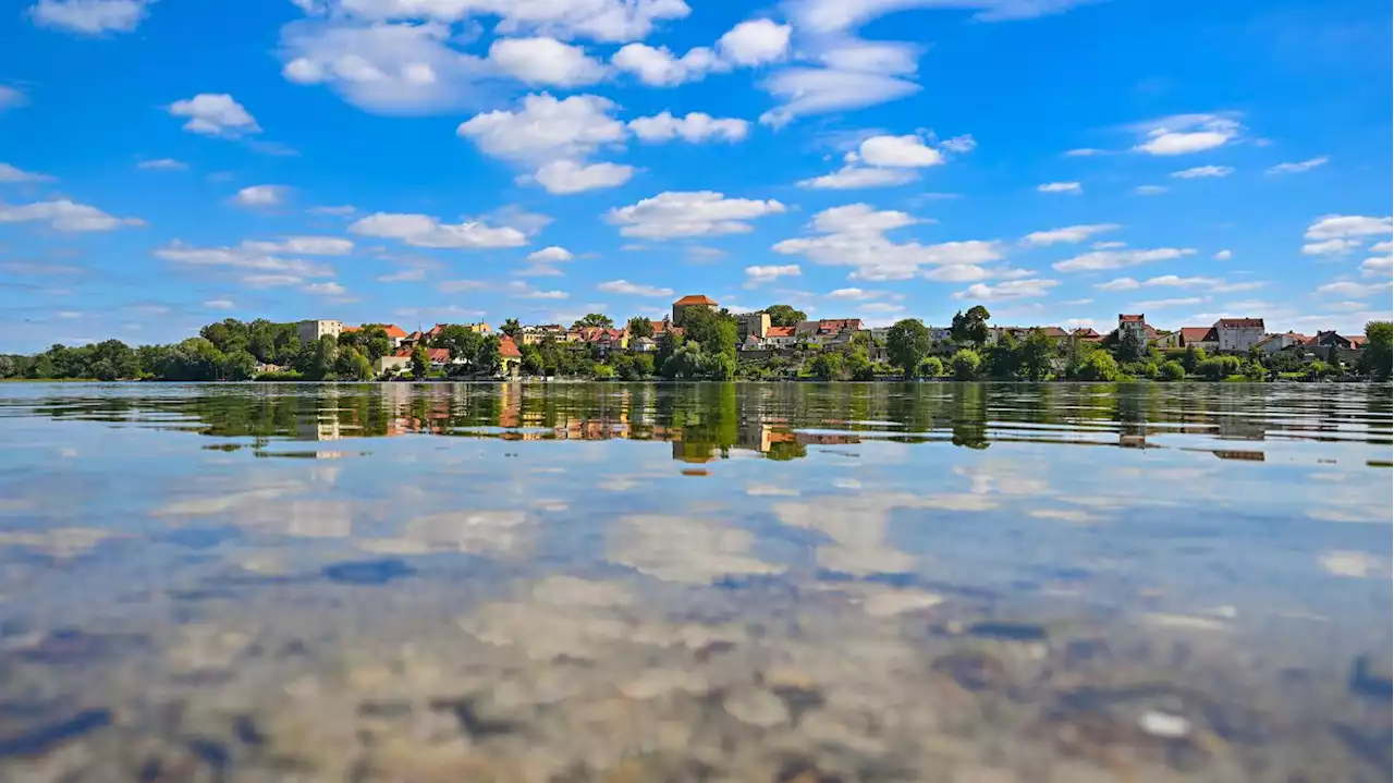 Kampf gegen Wassermangel in Tesla-Region: Freie Wähler sehen dringenden Handlungsbedarf