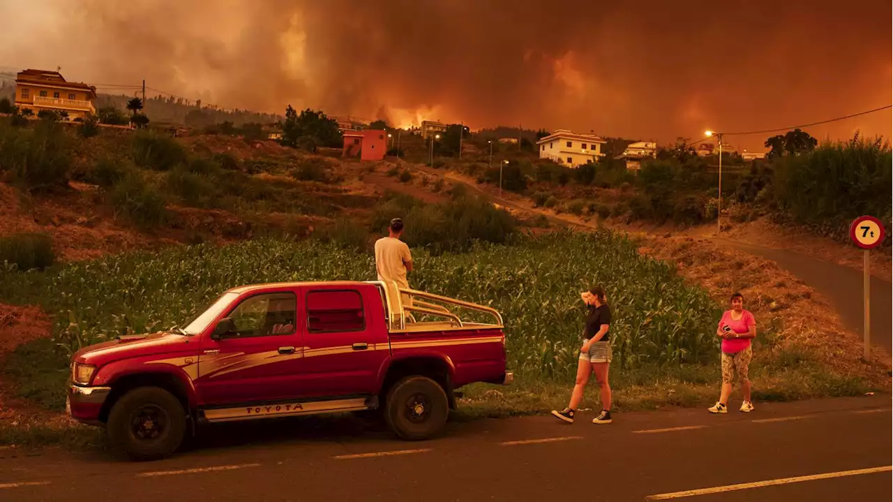 Waldbrand auf Teneriffa: Sieben Prozent der Inselfläche betroffen – 13.000 Menschen evakuiert