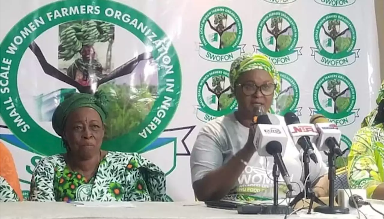 Petrol subsidy removal affecting us — we need palliatives, women farmers tell Tinubu