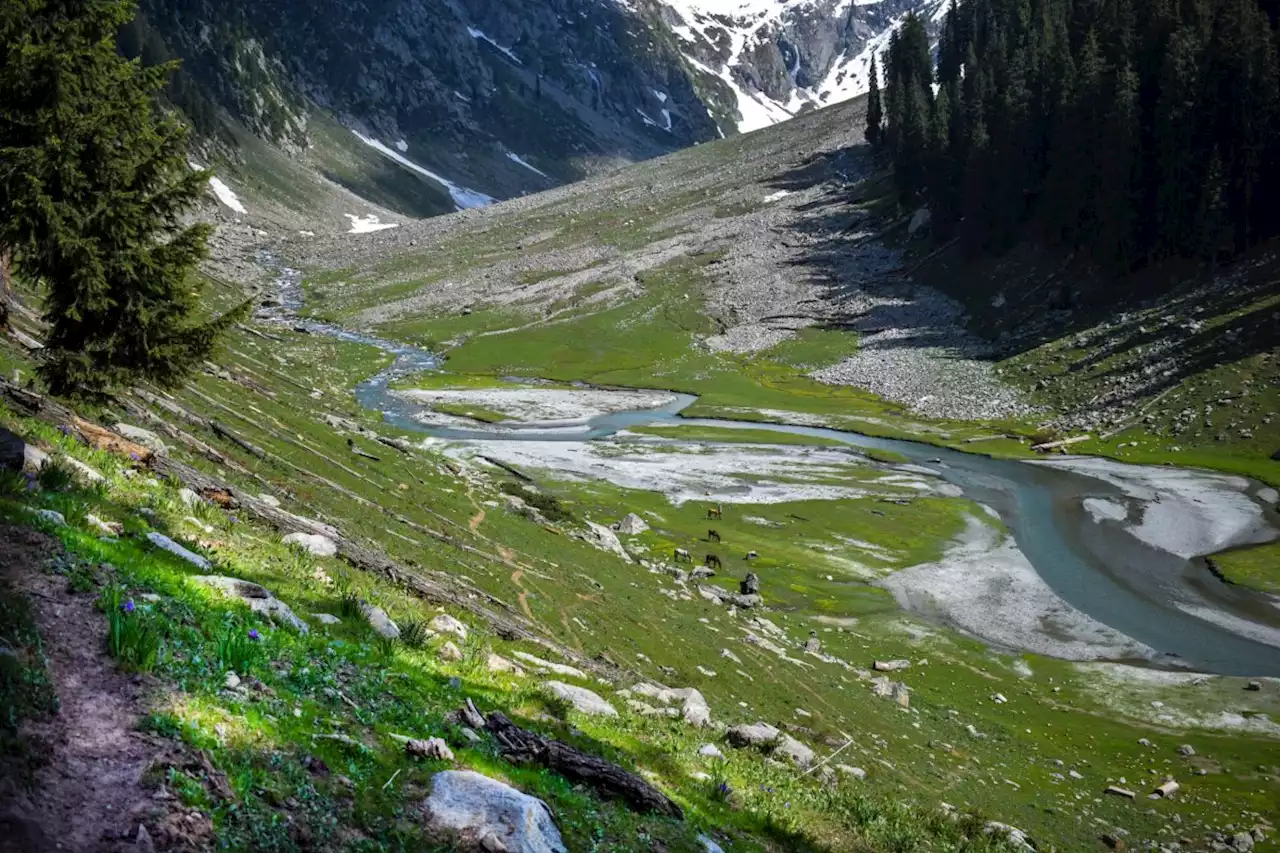 Six children and two adults stuck 1,200 feet in air after chairlift cable snapped in Pakistan