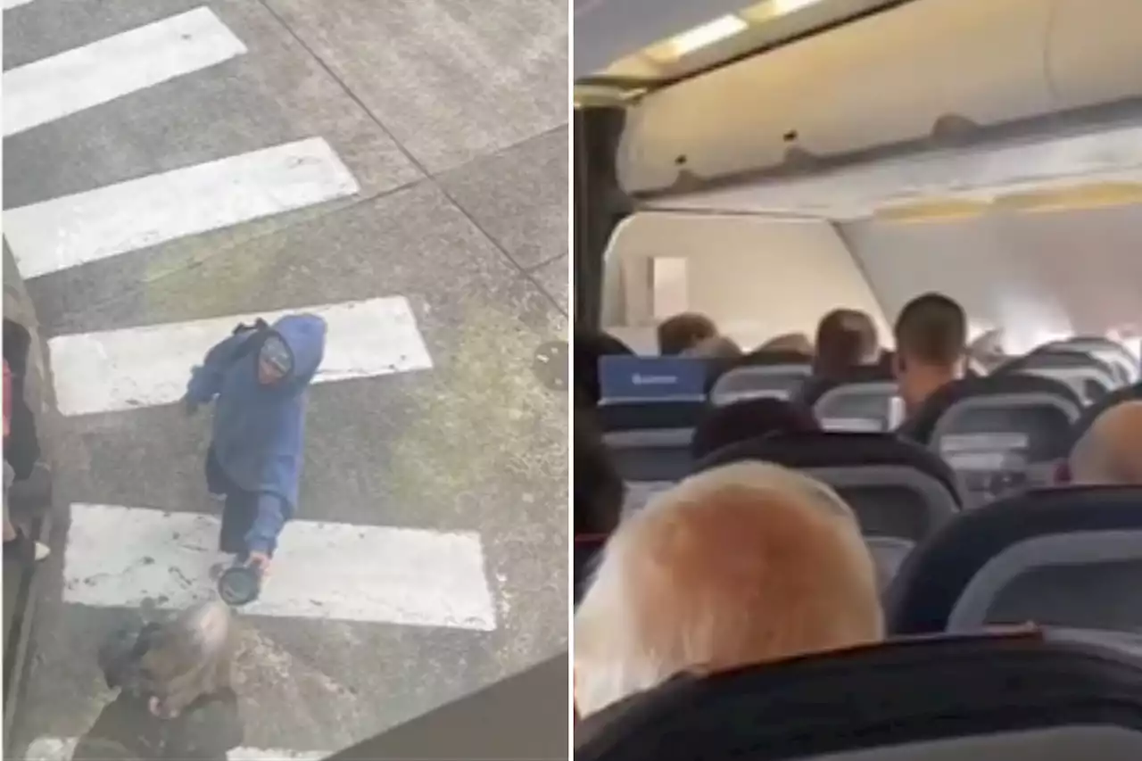 Airline passengers stunned as pop superstar spotted flying in economy class