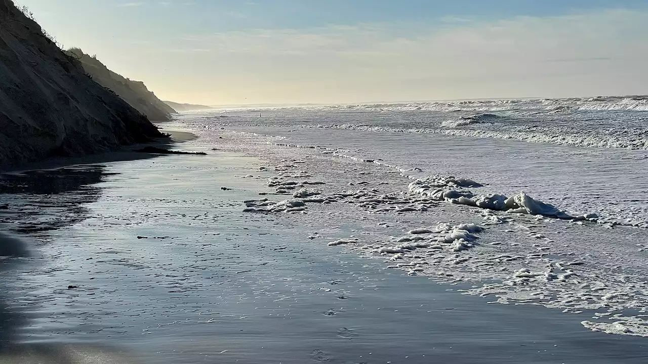 Alarm afblæst: Genstand fundet på stranden i Blokhus var ikke farlig