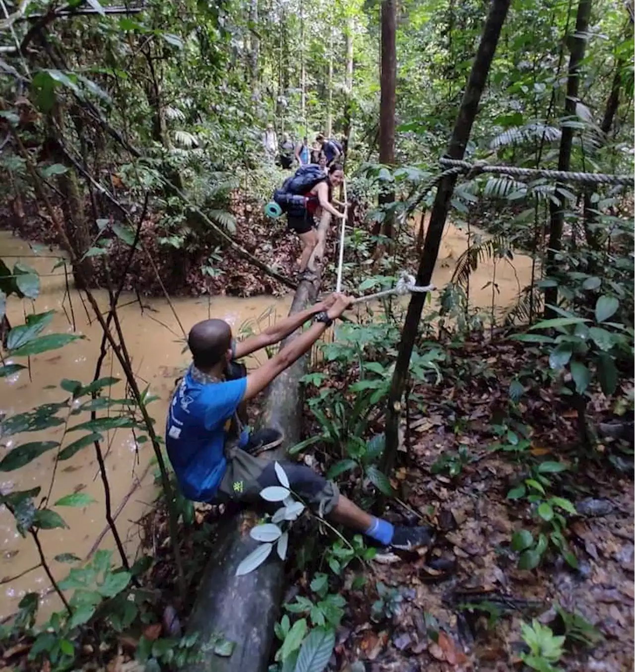 Saiz besar pelancong luar bukan halangan redah Taman Negara