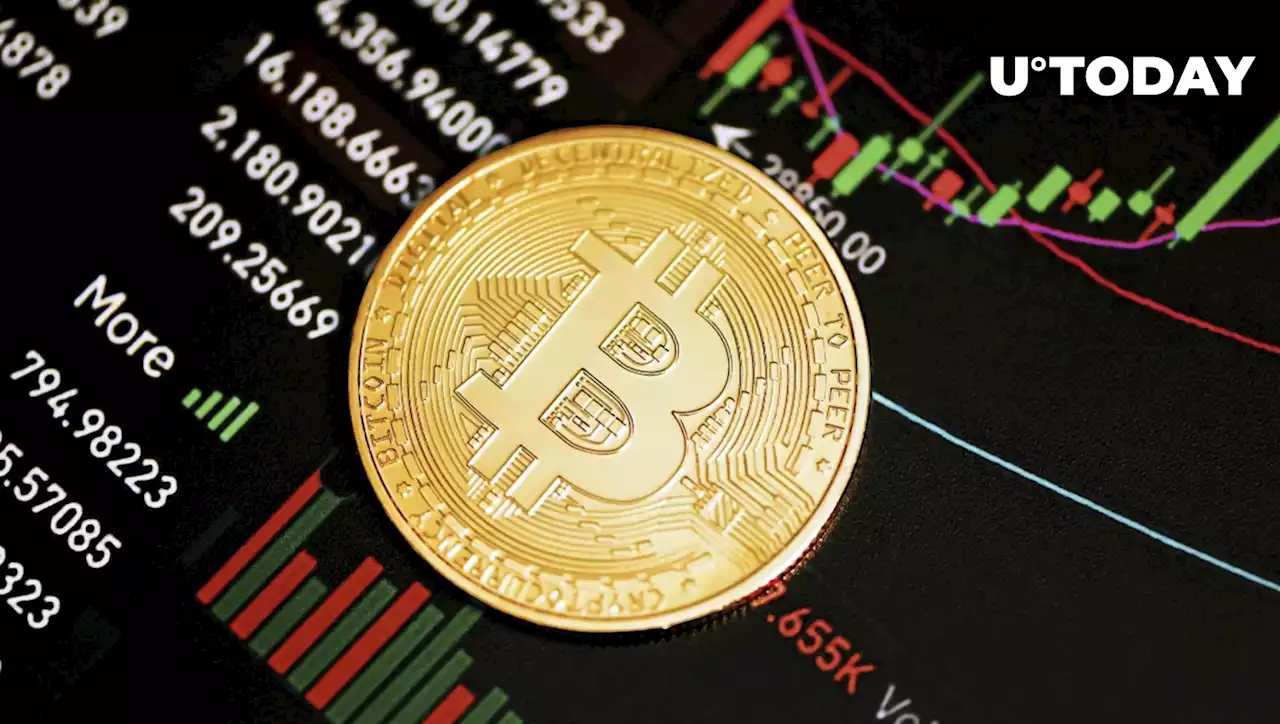 Bitcoin (BTC) May Collapse to $20,000 If This Happens: Analyst