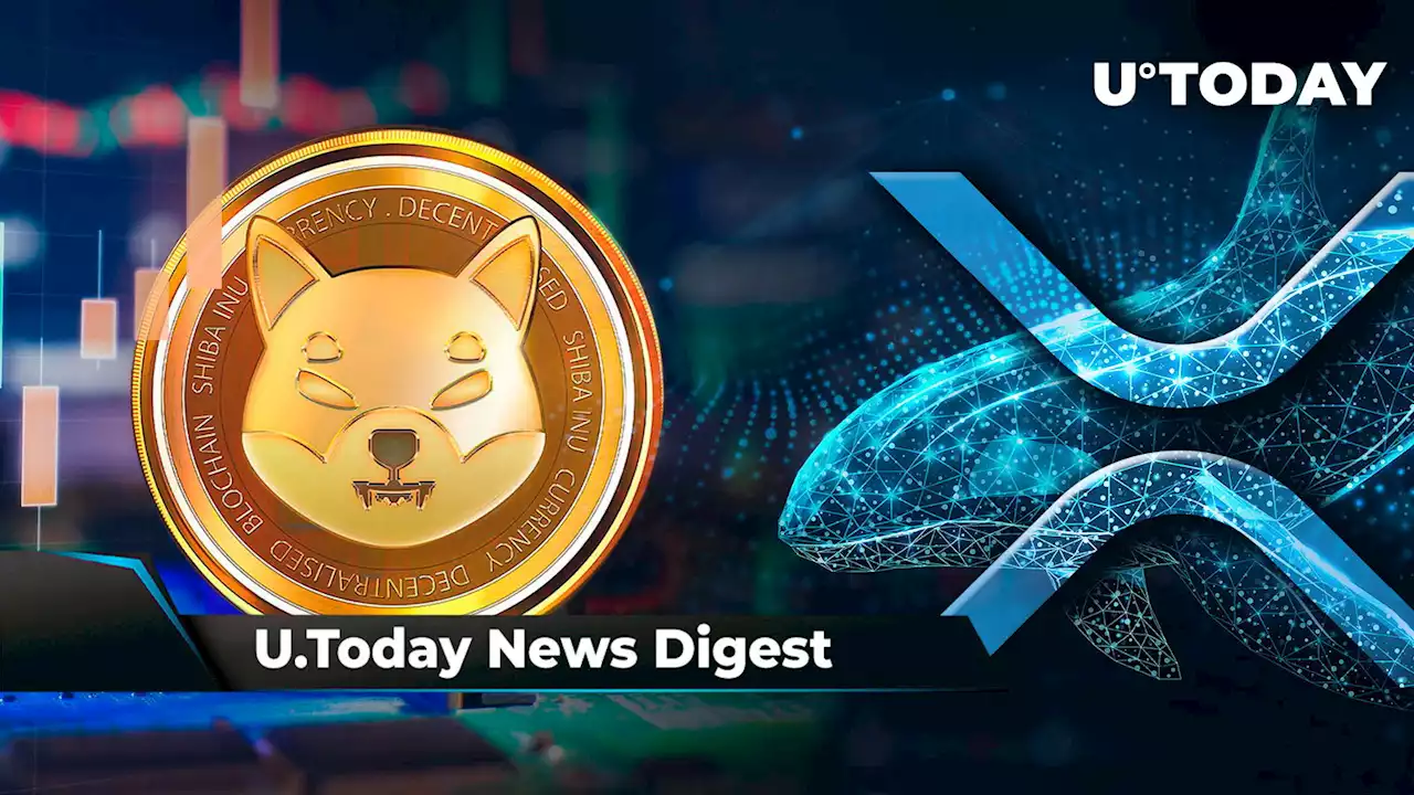 SHIB Official Shares One Mistake With Shibarium Made by Shytoshi Kusama, XRP Whales Accumulate Billions of Tokens, SHIB Sheds 100 Million Tokens: Crypto News Digest by U.Today