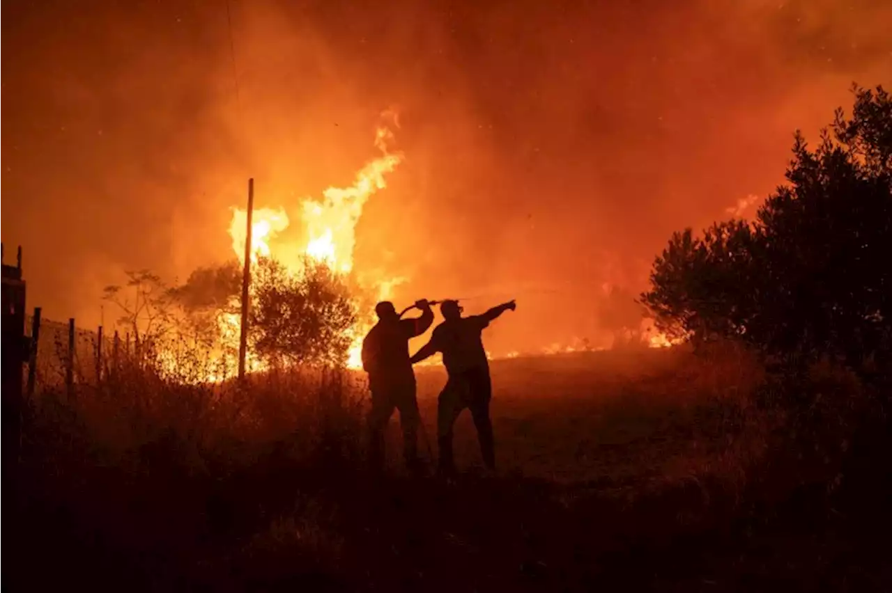 Bombeiros encontram 18 corpos queimados por incêndios florestais na Grécia