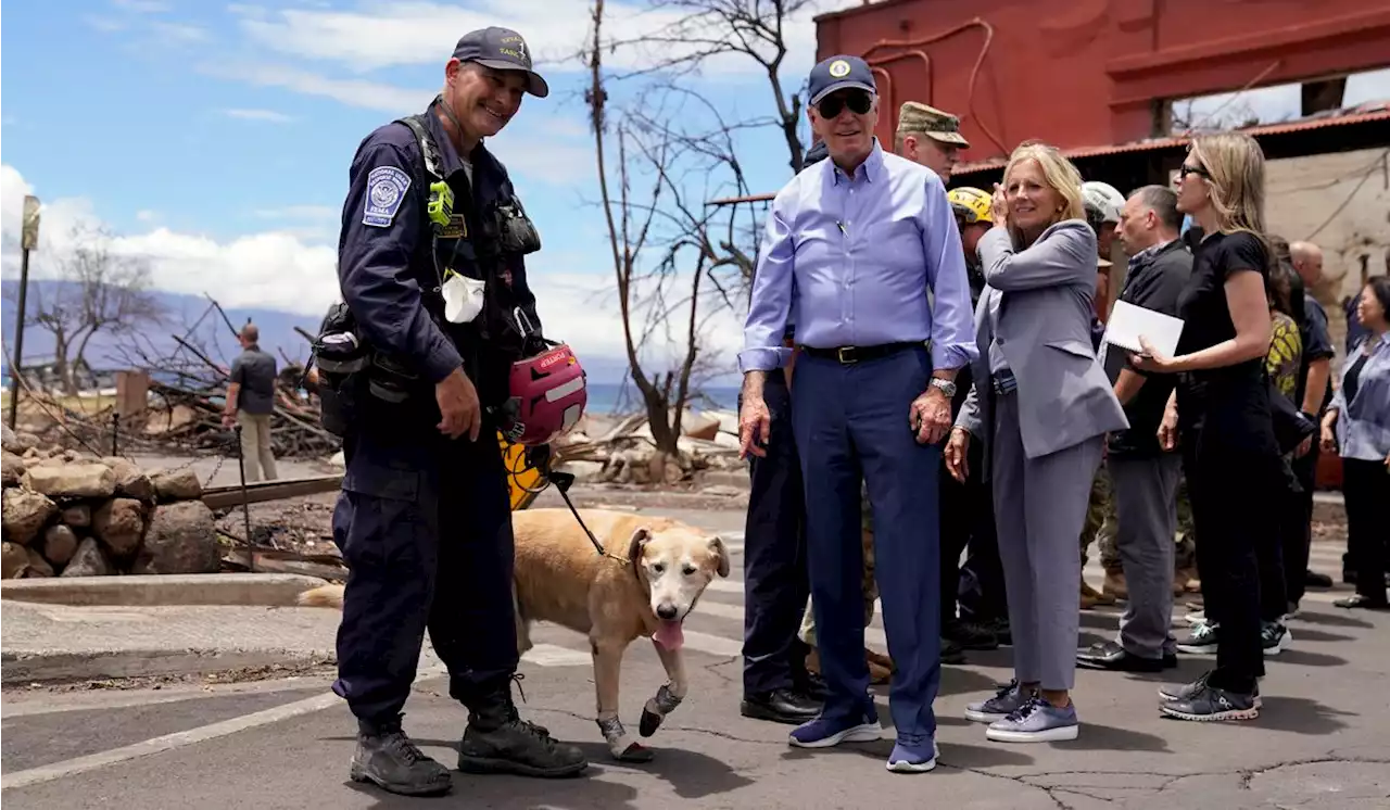 Biden faces backlash after jokes while observing Maui fire damage