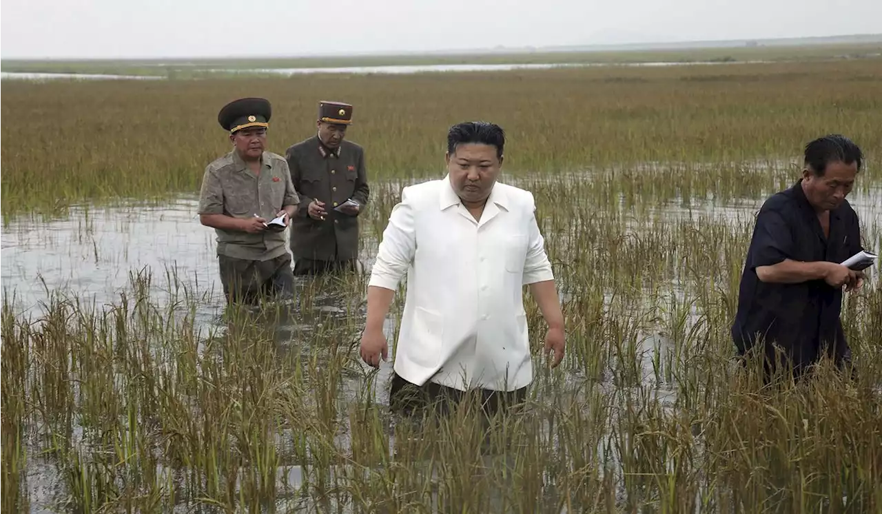 North Korea’s Kim lambasts premier over flooding, possible bid to shift blame for bad economy