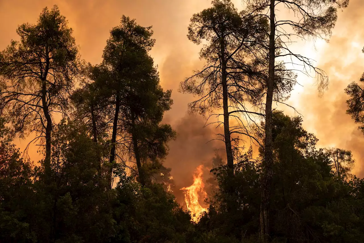 Al menos 27 migrantes irregulares muertos en los incendios en el noreste de Grecia