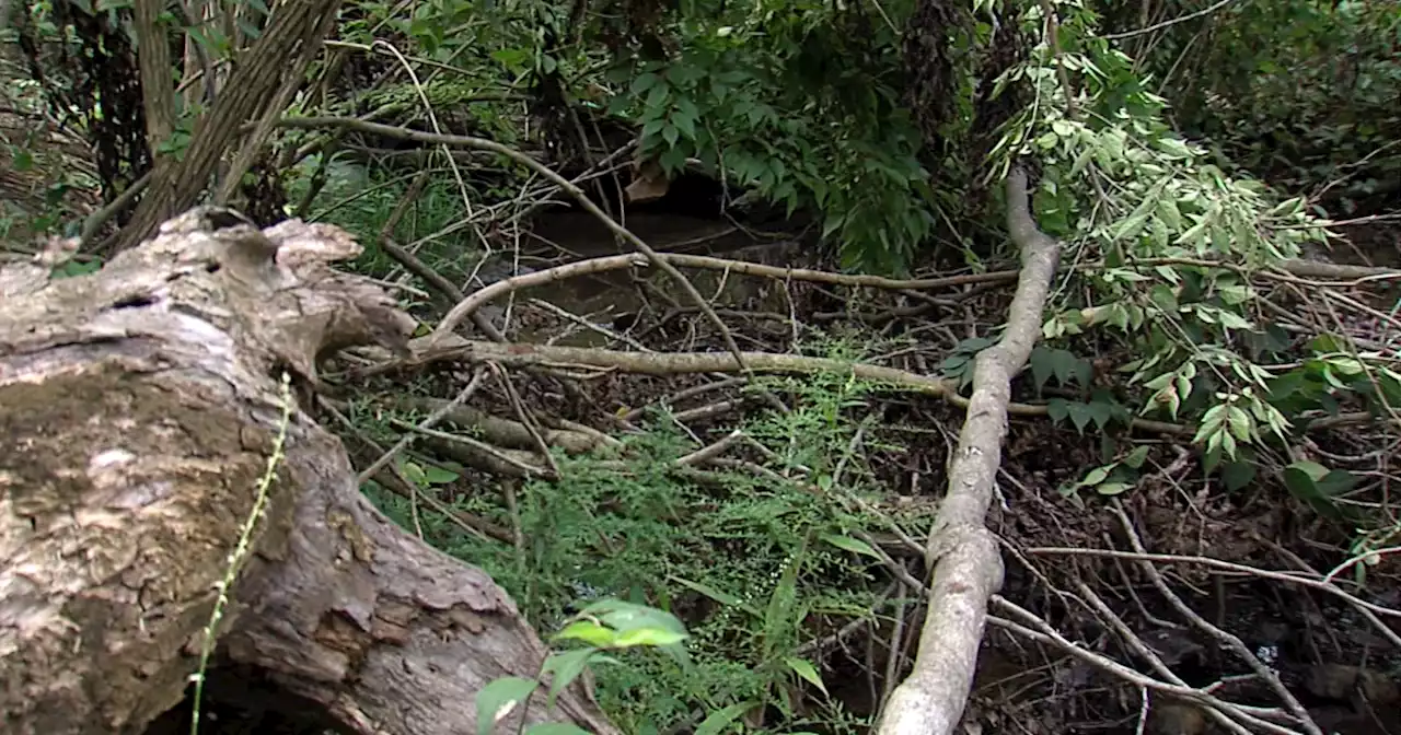 Johnson County residents deal with tornado debris in waterways 2 months after tornado